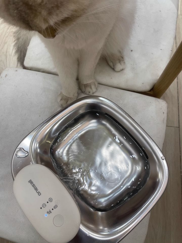 Customer photo review of Oneisall 3.5L Kabelloser Edelstahl Trinkbrunnen für Katzen mit 3 Filtern