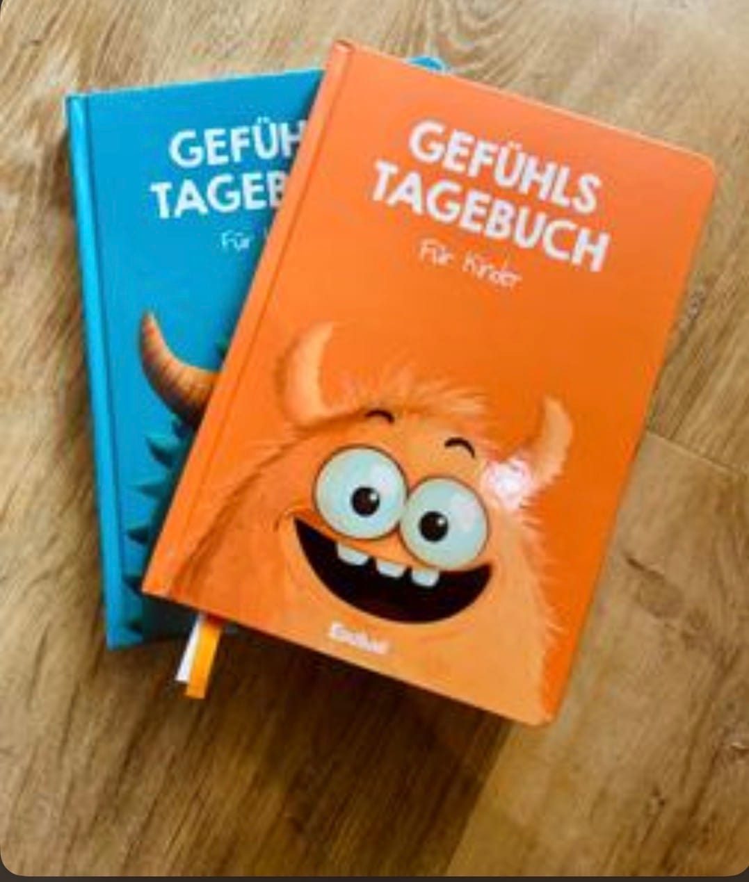 Customer photo review of Edubini Gefühlstagebuch für Kinder