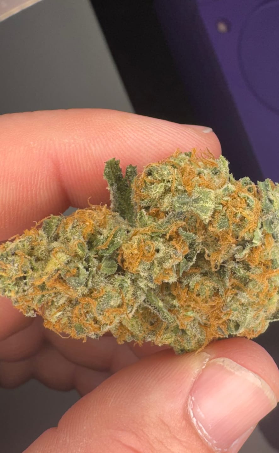 Customer photo review of Mochi Gelato - Bulk - Indica