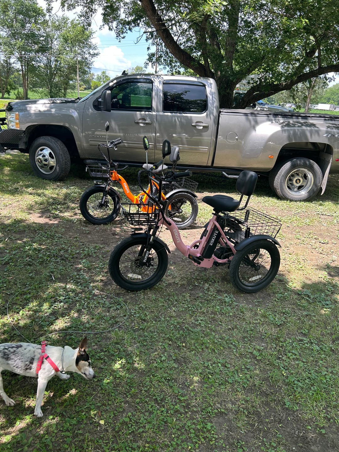 Customer photo review of Eskute® T300 Folding Electric Trike