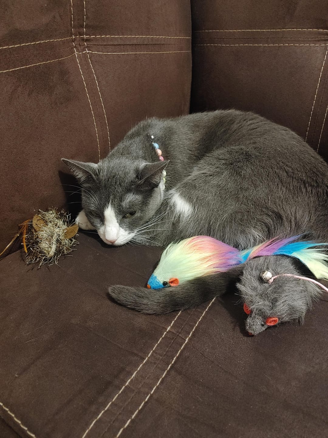 Customer photo review of CT4240 1 Pieza De Juguete Vara De Ratón Para Mascota