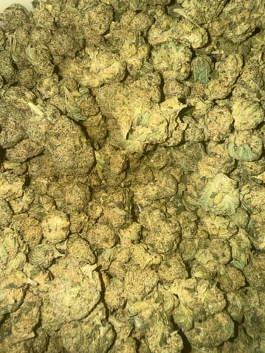 Reviewer's overhead view of a large pile of Biscotti THCA Flower buds.