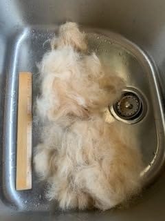 Customer photo review of Oneisall Cozy C1 8-in-1 Tierhaarschneider mit Staubsauger & Föhngerät