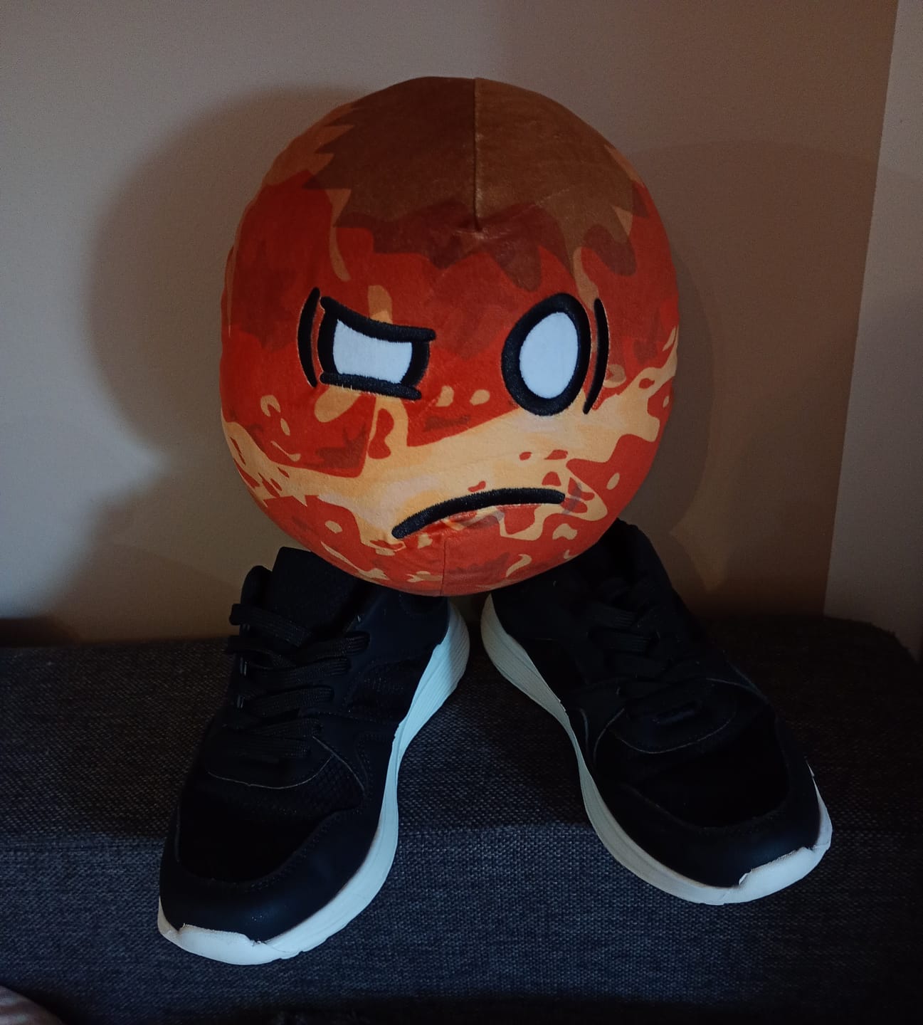 Customer photo review of The SolarBalls Venus Plush