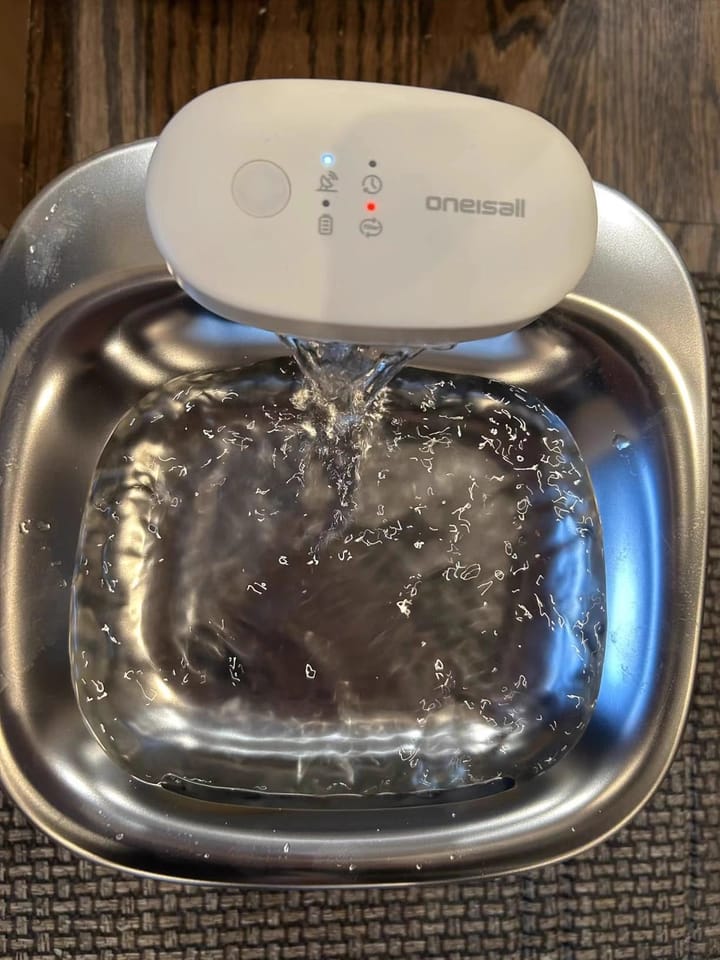 Customer photo review of Oneisall 3.5L Kabelloser Edelstahl Trinkbrunnen für Katzen mit 3 Filtern