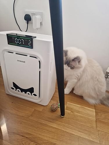 Customer photo review of Oneisall Luftreiniger für Haushalte mit Haustieren – beidseitiger Lufteinlass