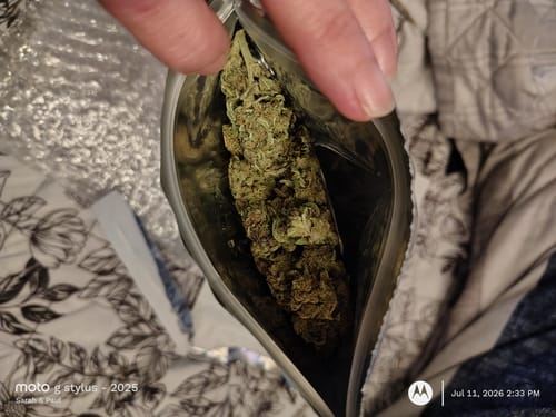 Customer photo review of Gorilla Glue THCA Flower