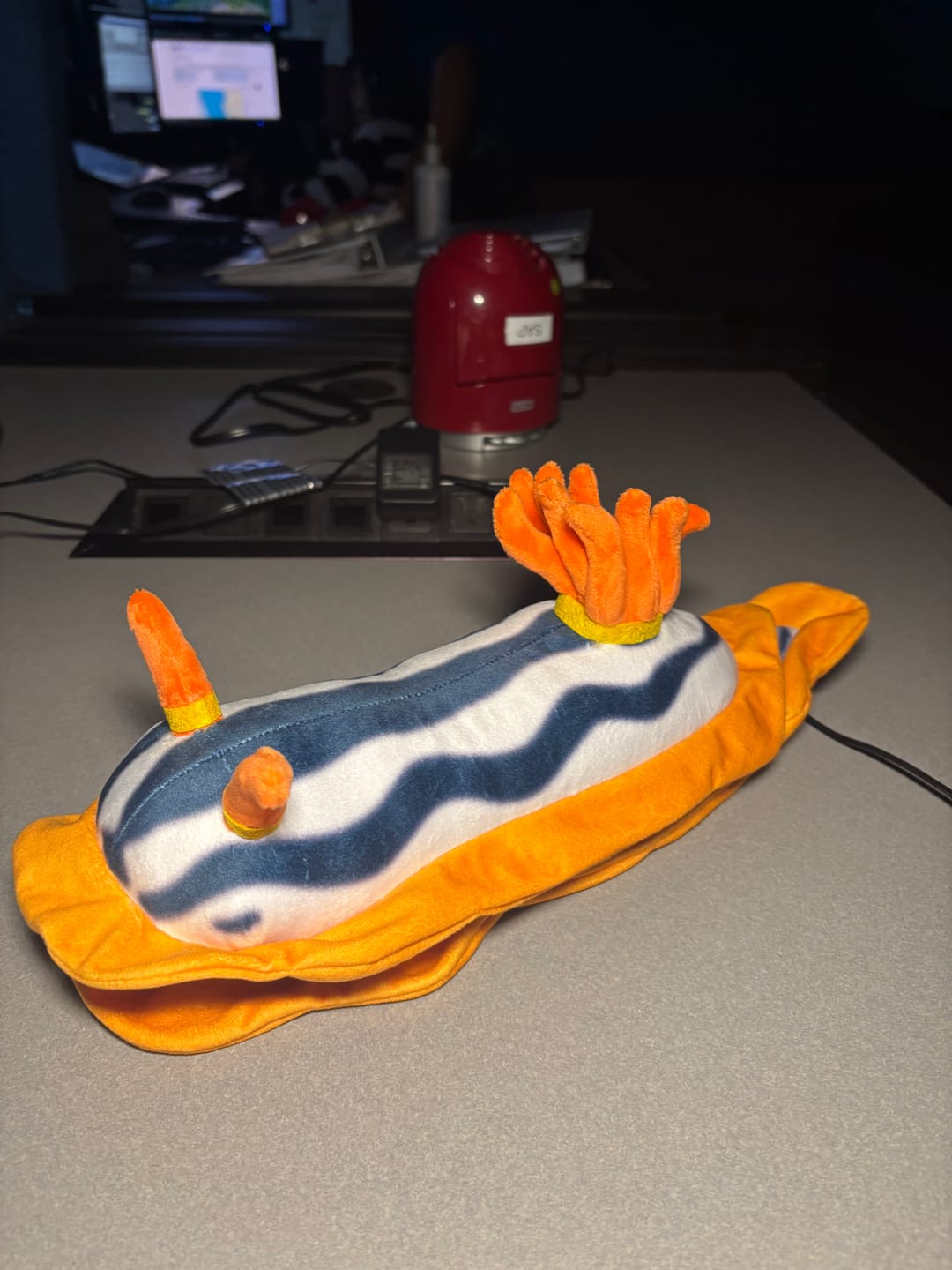 Customer photo review of Specimen 2 - Magnificent Sea Slug Plush