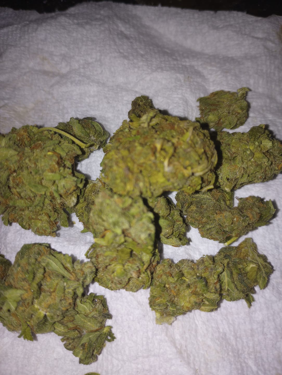 Customer photo review of Runtz x Grease Monkey - Bulk - Indica