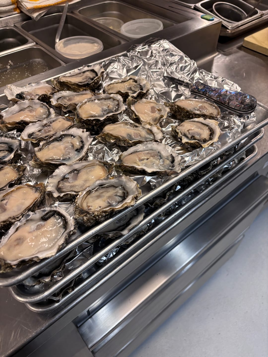 Customer photo review of Abalone Oyster Knife