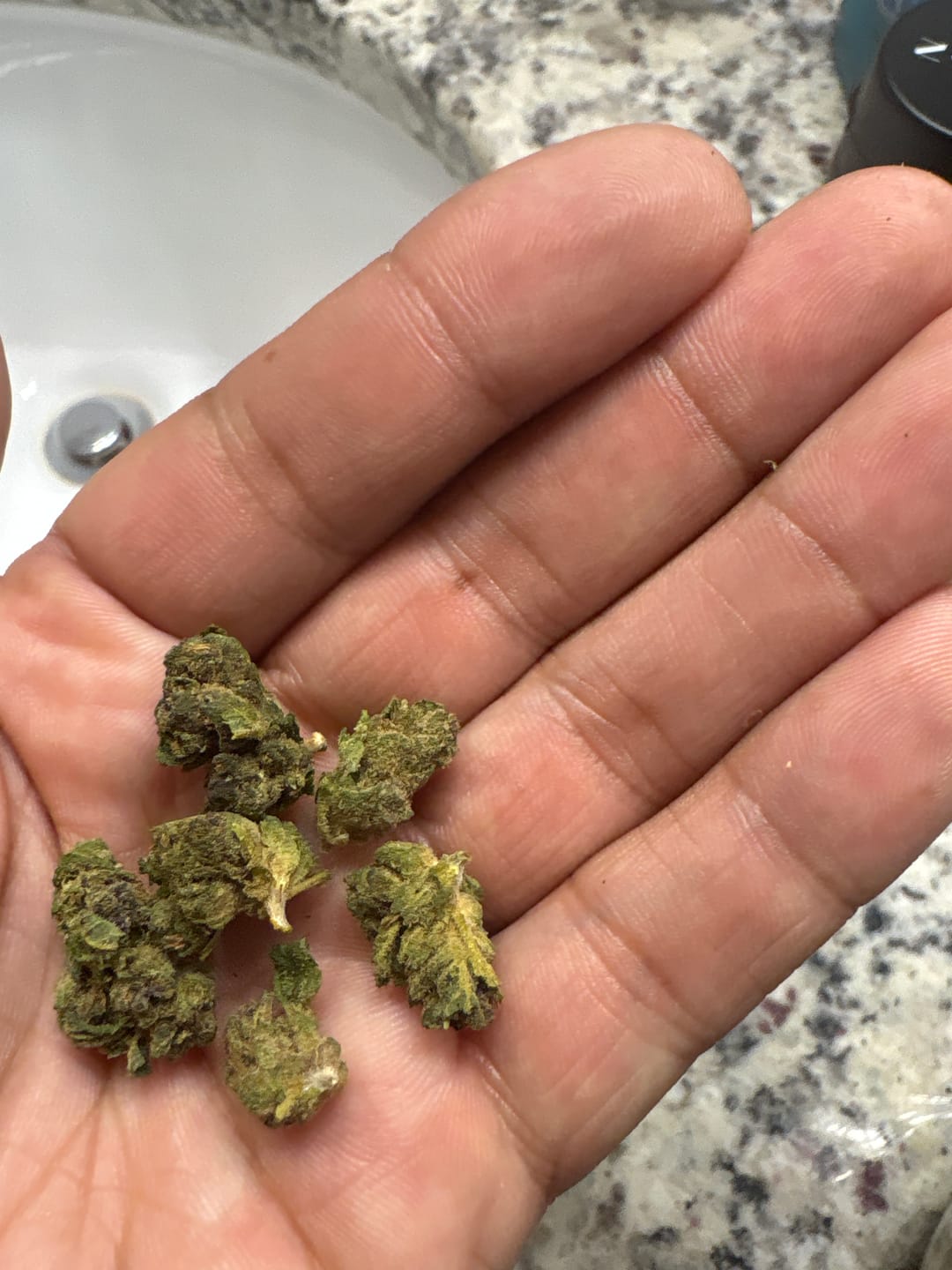 Customer photo review of Greenhouse Flower