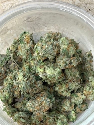 Customer's close-up of the small, green OG Kush THCA Flower buds inside a clear container.