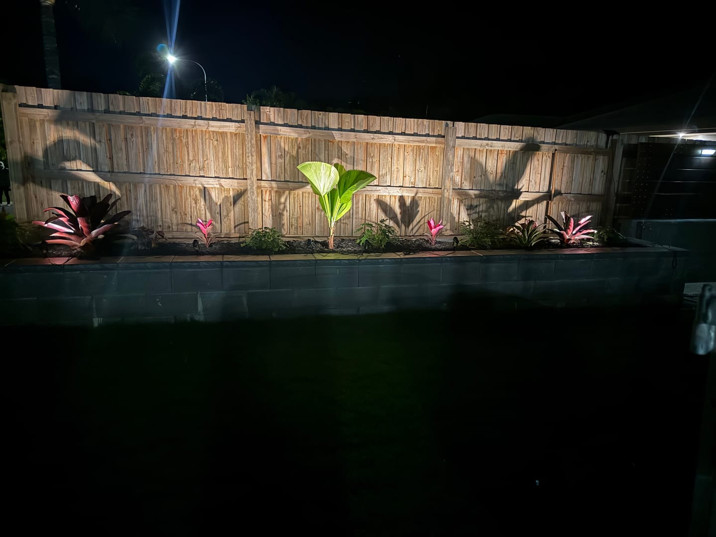 Customer photo review of GardenBrite™ Solar Spotlight Pack