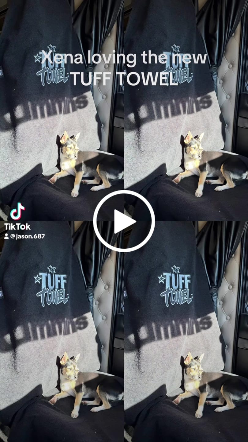 Customer video review of Waterproof Car Towel Seat Cover - The OG