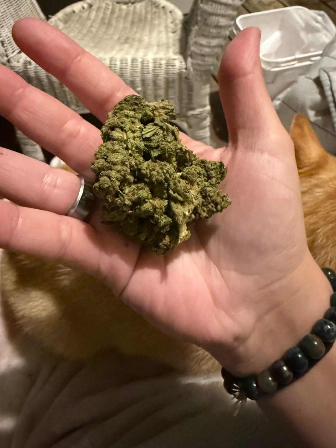 Customer photo review of Blueberry Syrup - Minis - 28 Grams - Indica