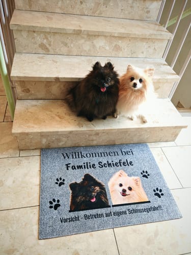 Kunde zeigt die personalisierte Fußmatte mit den Fotos seiner zwei Hunde, die auf den Stufen dahinter sitzen.