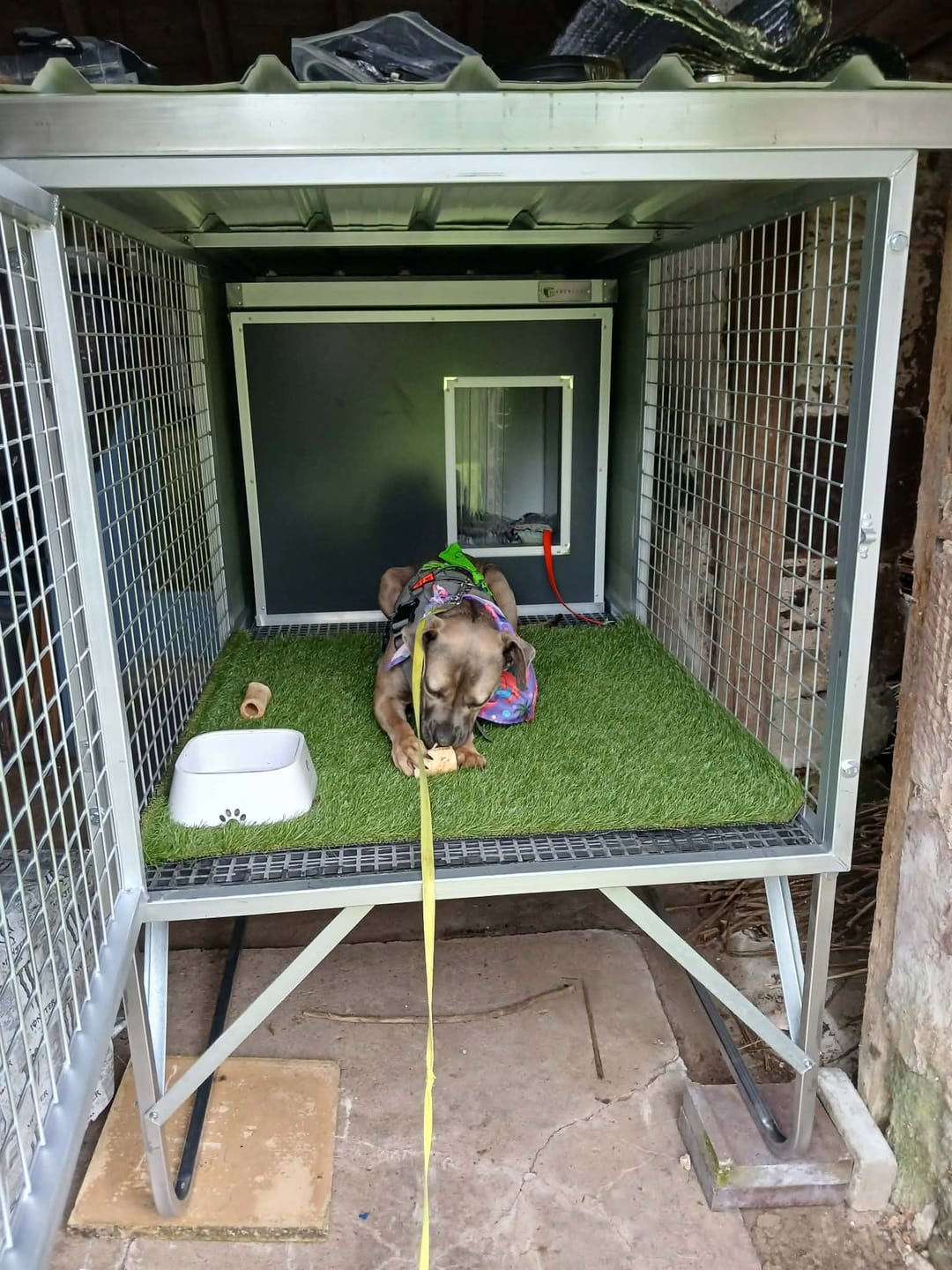 Customer photo review of Raised Safety Kennel
