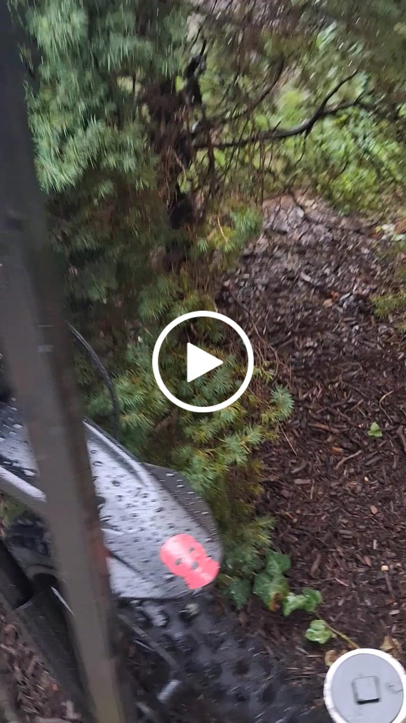 Customer video review of Eskute® RTX 19"17" 6500W Electric Dirt Bike for Adults