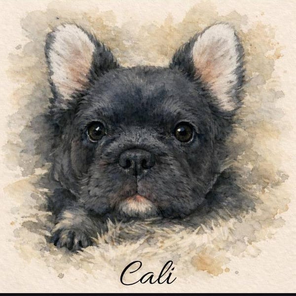 Customer photo review of Custom Watercolor Pet Portrait From Photo, Personalized Pet Memorial Gift For Dog Lover, Sympathy Gift For Dog Loss
