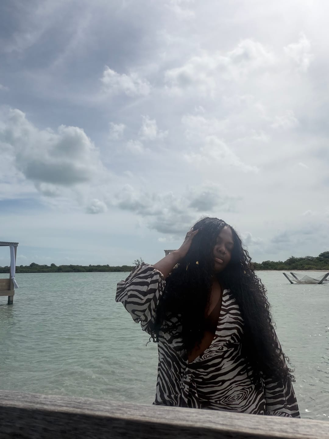 Customer photo review of Pre-looped Crochet Boho Locs with Human Hair Curls