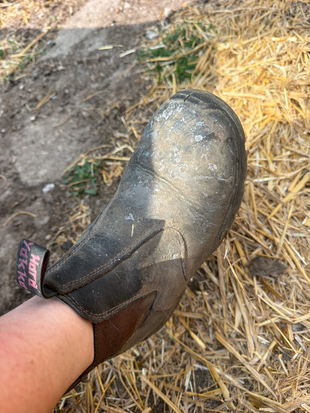 Customer photo review of Women's Banjo Dealer Boots