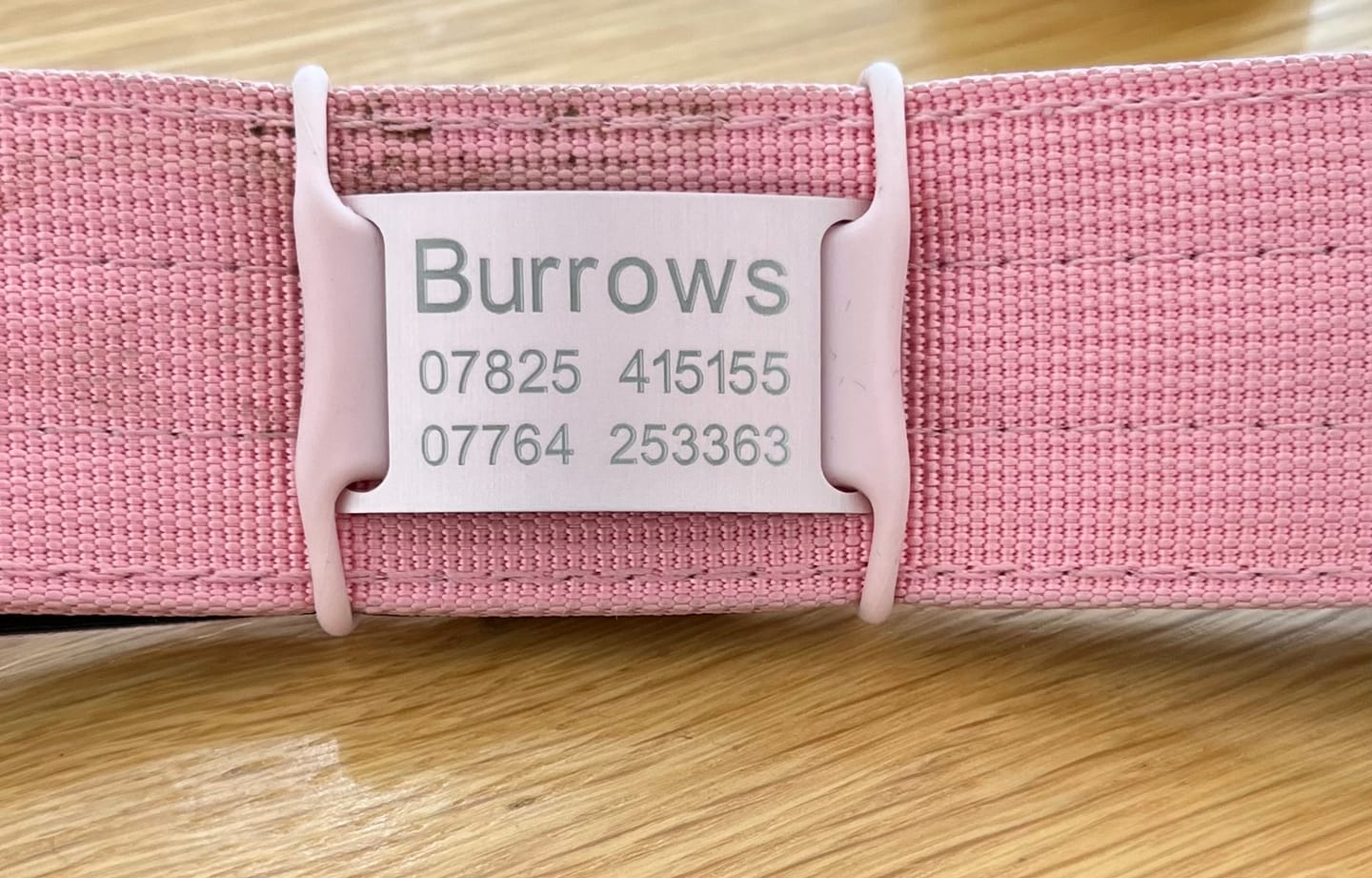 Customer photo review of Dog ID Attachment Tag (8 Colour Choices)