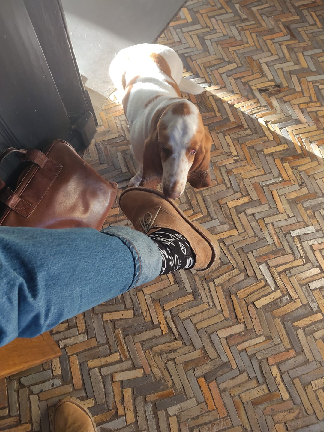 Customer photo review of Dennis