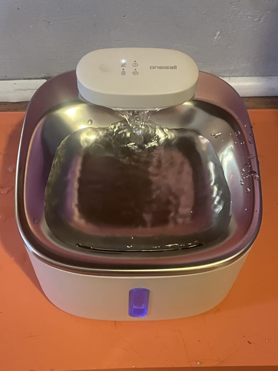 Customer photo review of Oneisall 3.5L Kabelloser Edelstahl Trinkbrunnen für Katzen mit 3 Filtern