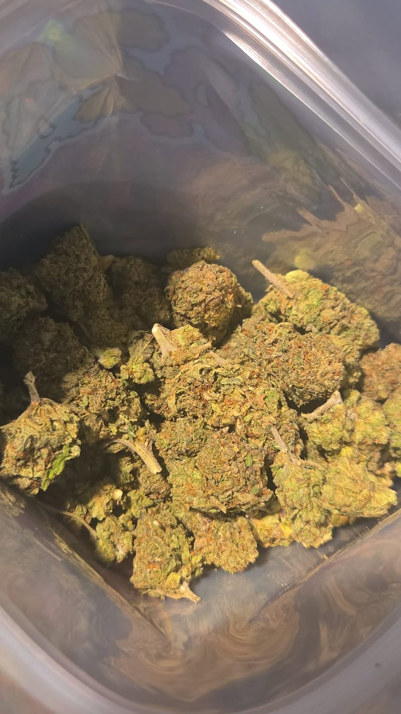 Customer photo review of Runtz x Grease Monkey - Bulk - Indica