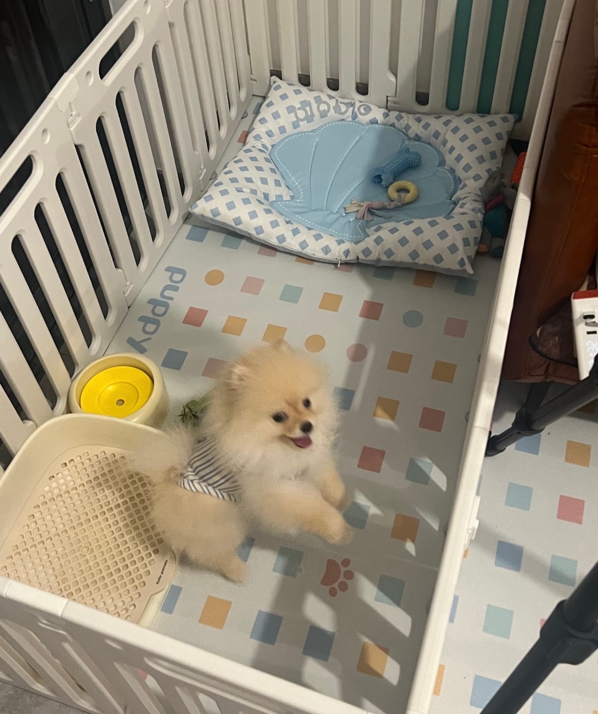 Customer photo review of Pet Shell Cooling Bed
