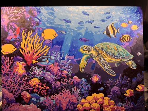 Customer's completed Coral Reef Life paint-by-numbers, a vibrant underwater scene with a large sea turtle and colorful fish.
