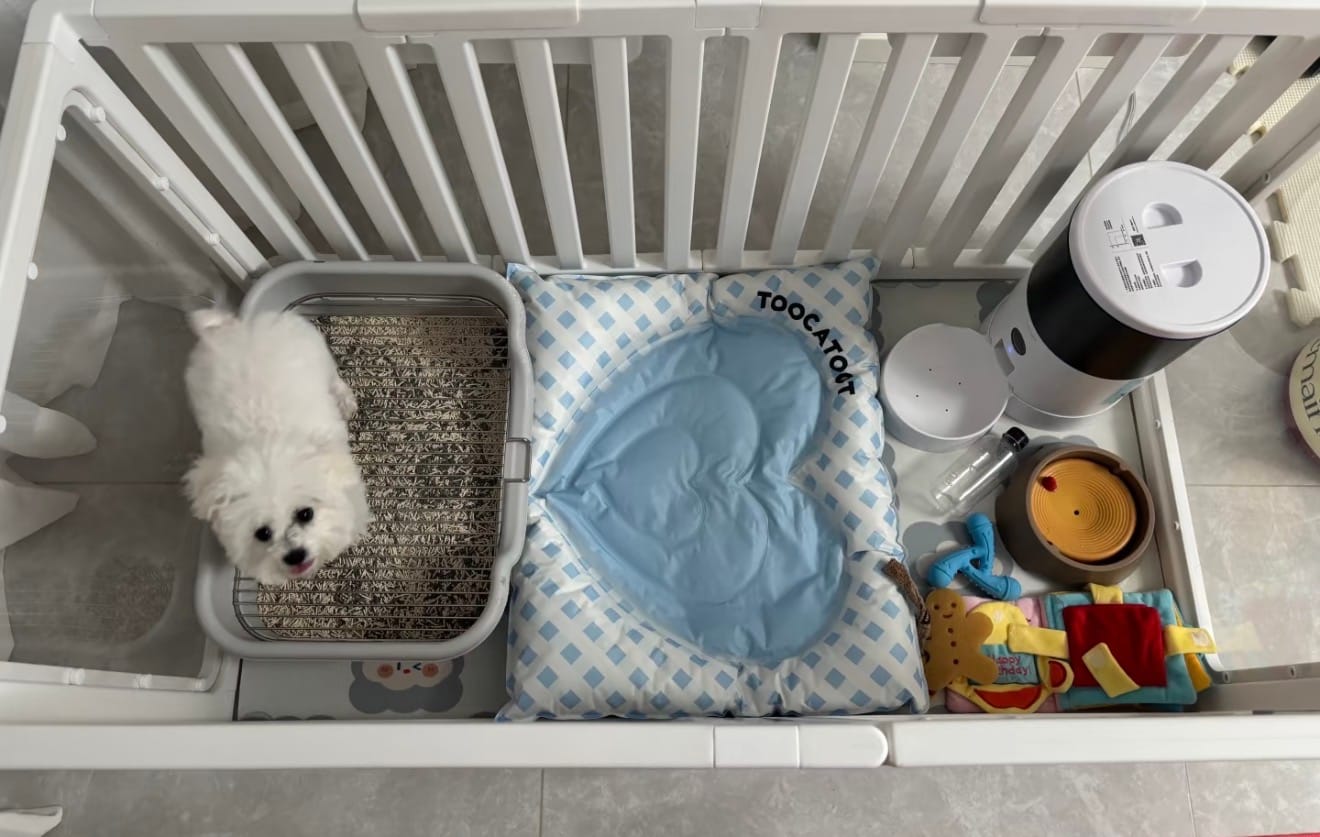 Customer photo review of Pet Shell Cooling Bed