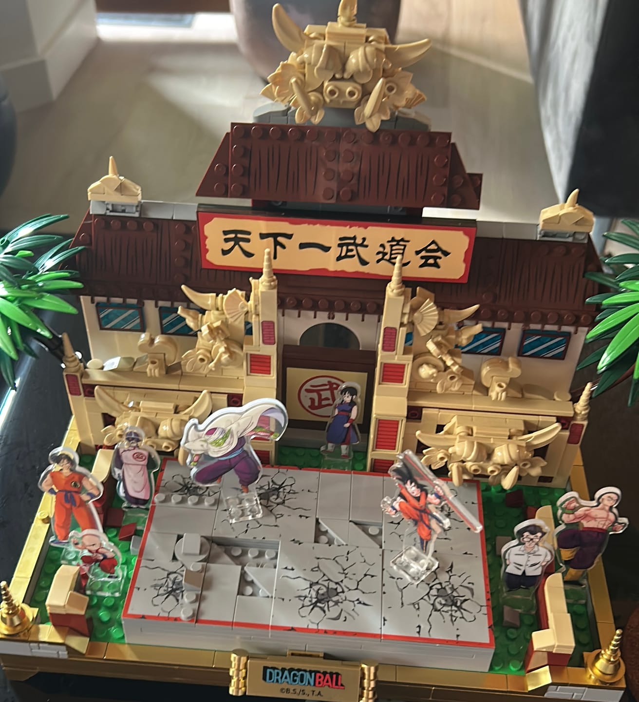 Customer photo review of Pantasy x Dragon Ball Tenkaichi Budokai 87003SAM