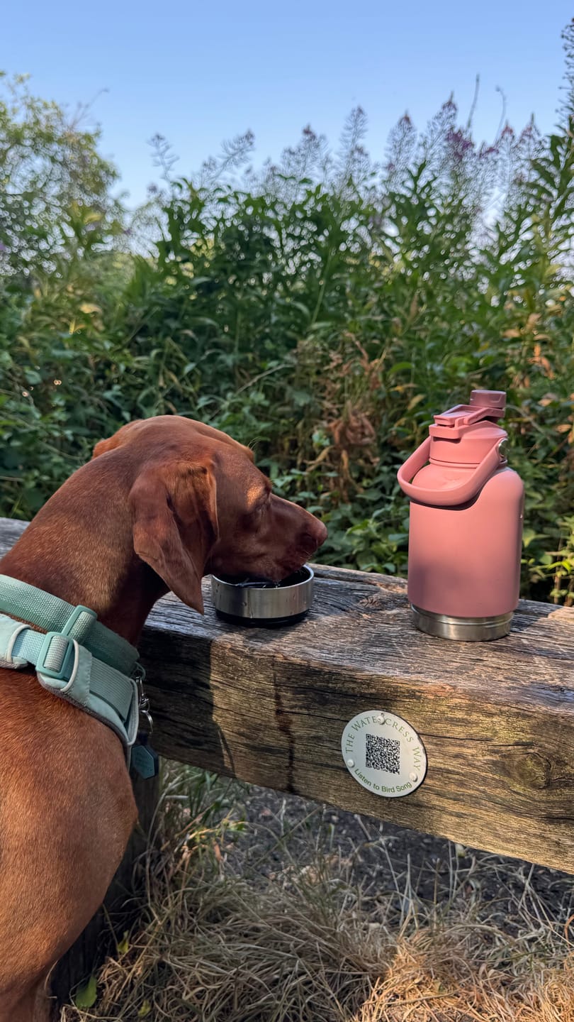 Customer photo review of 3-in-1 – Barkt Bottle & Bag