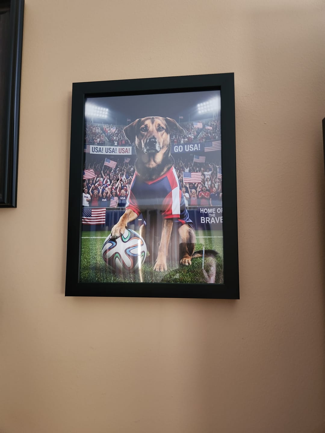 Customer photo review of World Cup - Personalized Poster