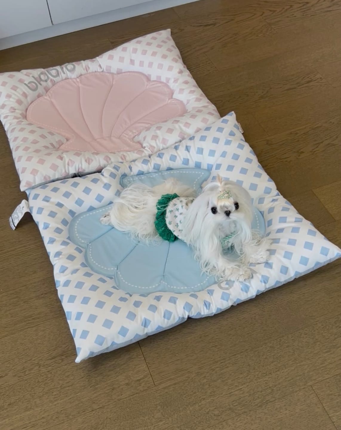 Customer photo review of Pet Shell Cooling Bed
