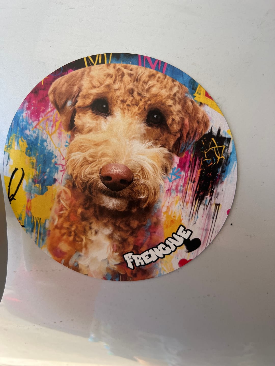 Customer photo review of Graffiti - Personalized Car Magnet