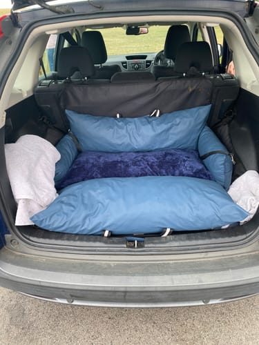 Customer's blue Dog Dock V2 fitted neatly in the trunk of their car, showing the plush bedding.