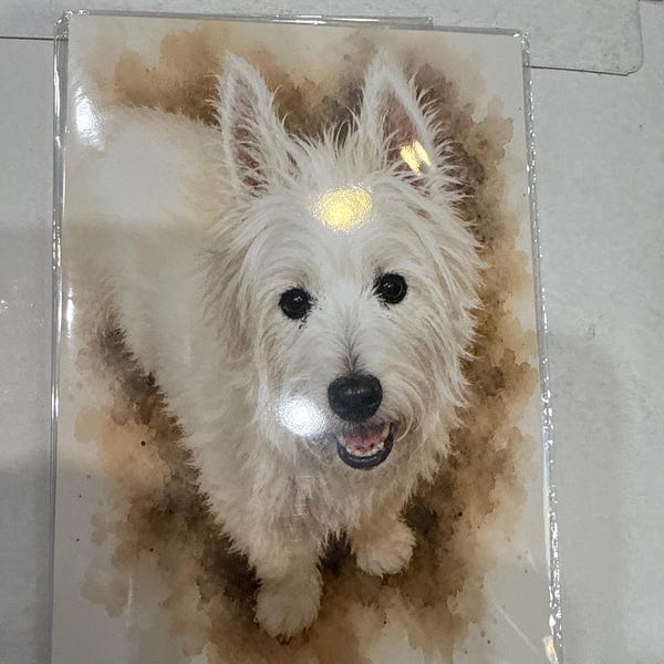 Customer photo review of Custom Watercolor Pet Portrait From Photo, Personalized Pet Memorial Gift For Dog Lover, Sympathy Gift For Dog Loss