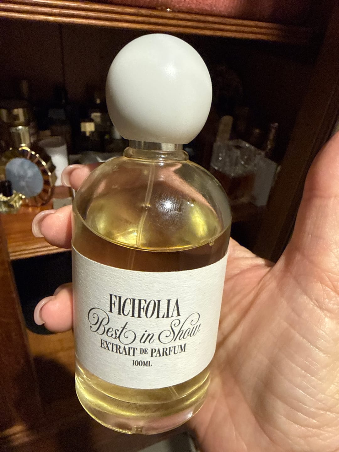 Customer photo review of BEST IN SHOW ™
