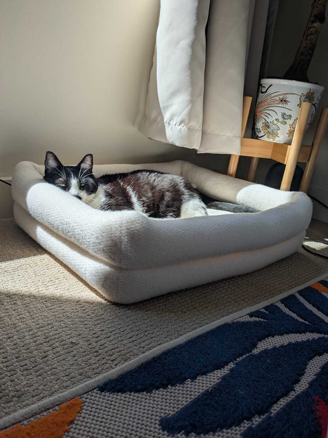 Customer photo review of Dubu Bed