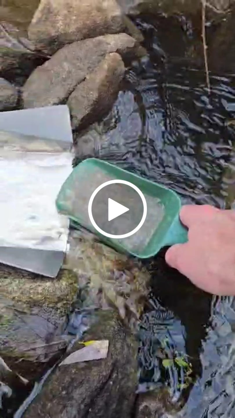 Customer video review of 6 inch River sluice Combo dream mat
