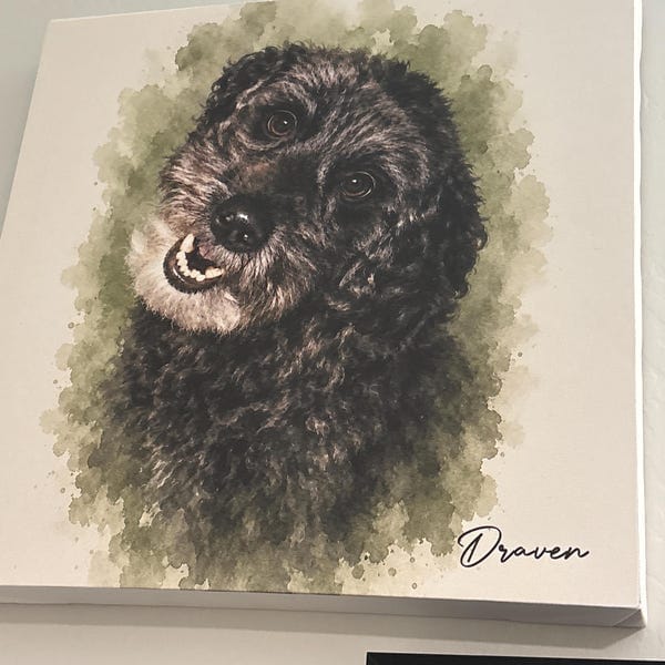 Customer photo review of Custom Watercolor Pet Portrait From Photo, Personalized Pet Memorial Gift For Dog Lover, Sympathy Gift For Dog Loss