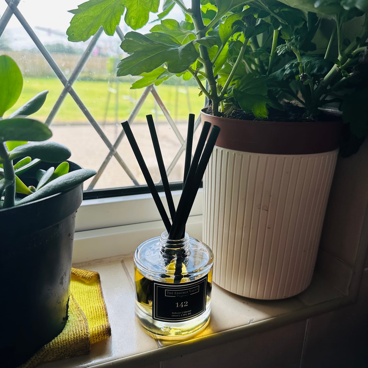 Customer photo review of Inspired By Pomegranate Noir - 142 - Home Reed Diffuser