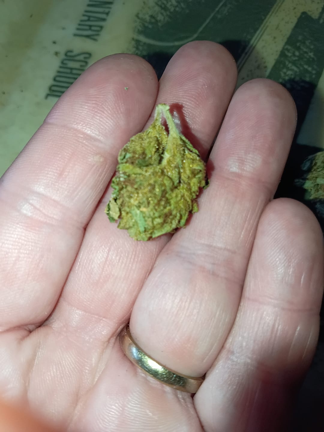 Customer photo review of Super Lemon Haze  - 14 Grams - Sativa