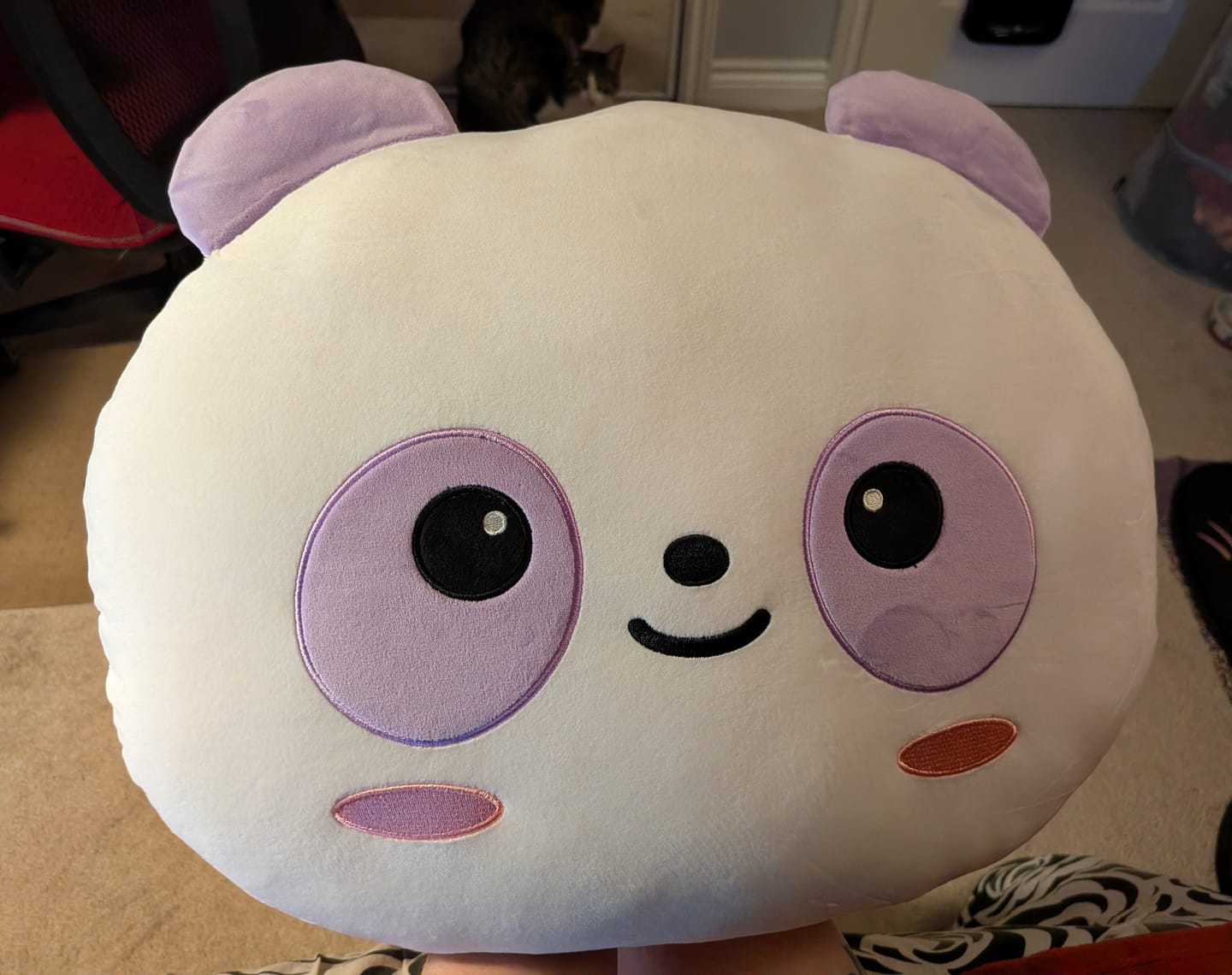 Customer photo review of BABYMONSTER [춤 (CHOOM) in Seoul] Character Face Cushion