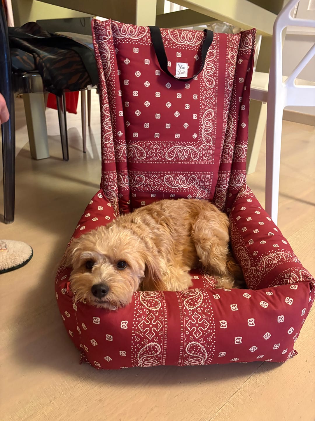 Customer photo review of Seggiolino Auto Cotone Premium Bandana Bordeaux
