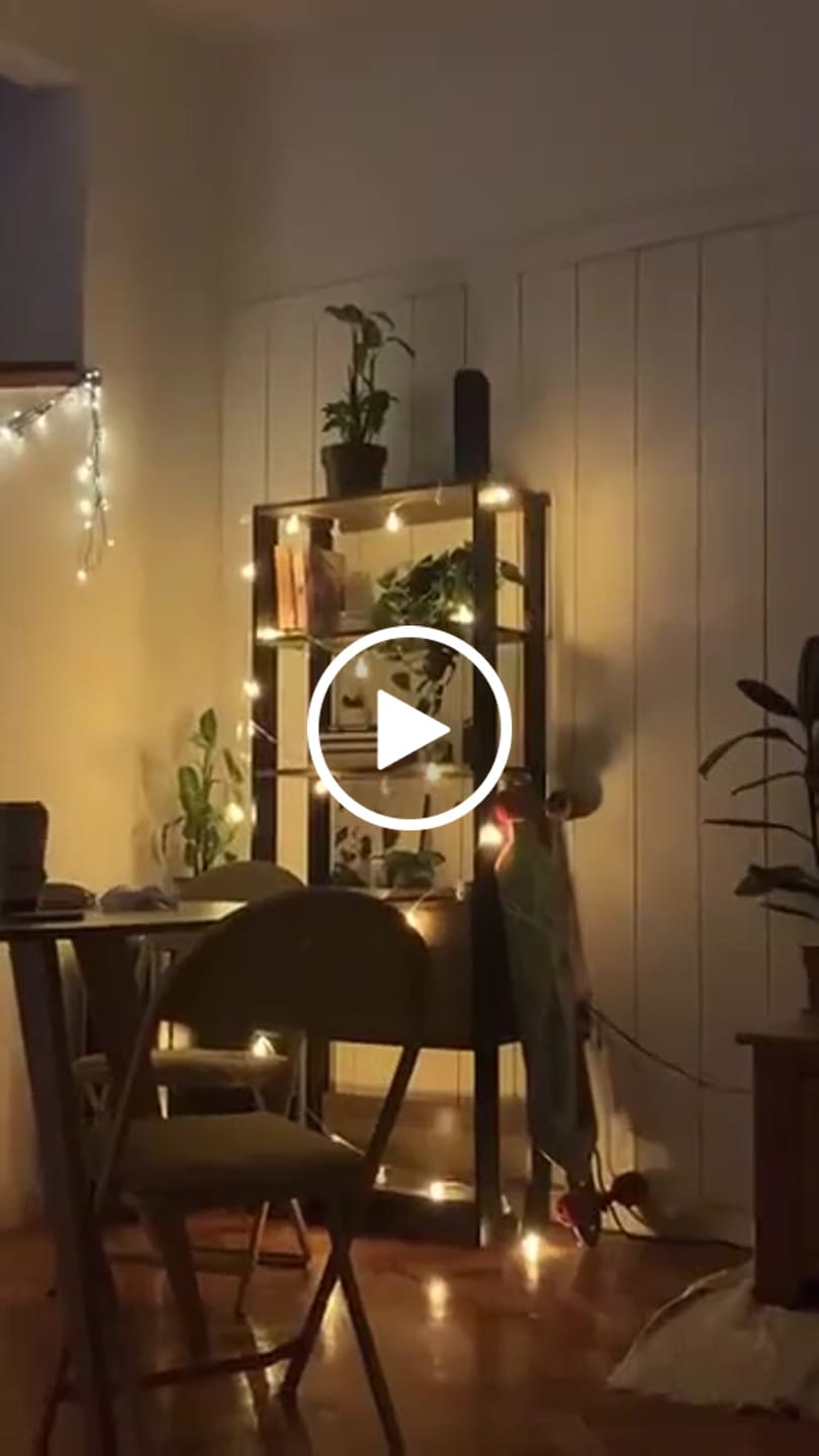 Customer video review of Cordão de luzes decorativa Bivolt de Natal 6 metros