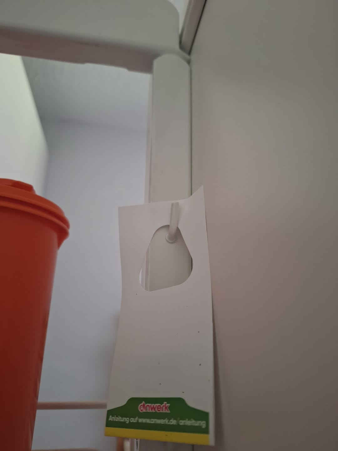 Customer photo review of Schlupfwespen gegen Lebensmittelmotten