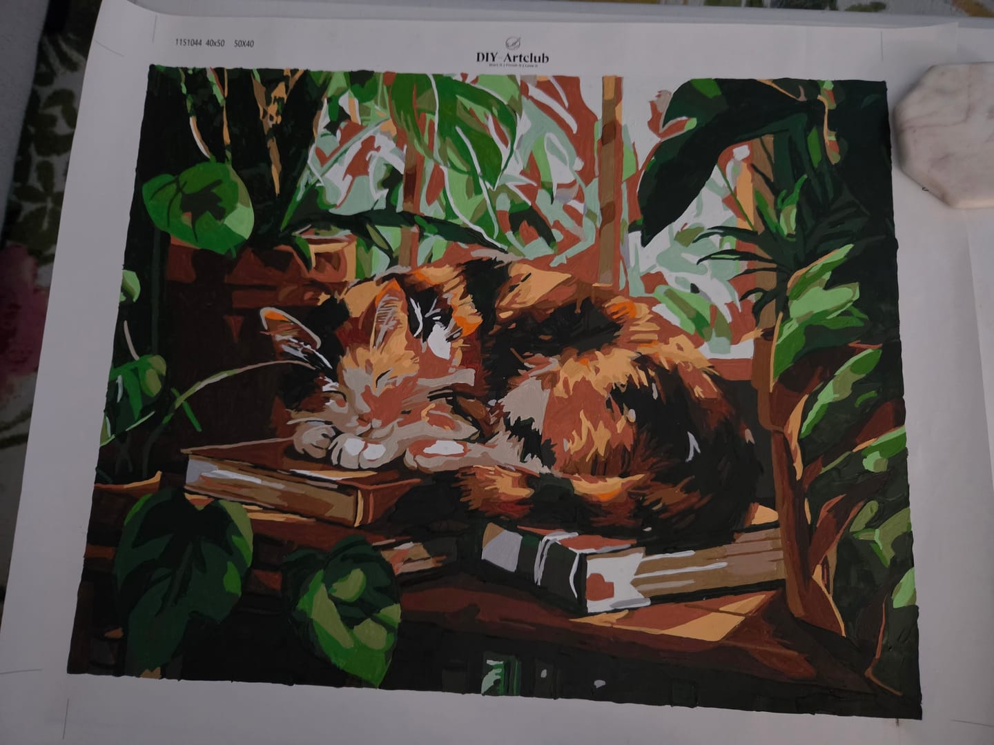 Customer photo review of Sleeping Cat at the Window | Paint by Number